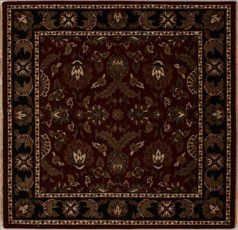 Agra Red Square Hand Knotted 411 X 50  Area Rug 251-13032 Image 0