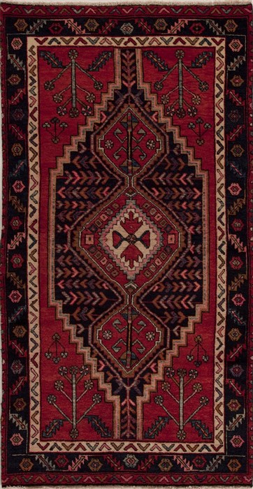 Hamedan Red Hand Knotted 52 X 95  Area Rug 251-13122 Image 0