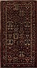 Hamedan Multicolor Runner Hand Knotted 53 X 96  Area Rug 251-13142 Thumb 0