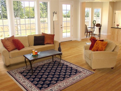 Sarouk Blue Hand Knotted 42 X 60 Area Rug 251-13235 Image 5