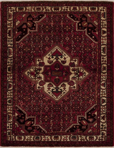 Hamedan Red Hand Knotted 53 X 69 Area Rug 251-13324 Image 0