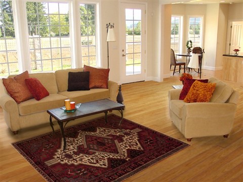 Hamedan Red Hand Knotted 50 X 82 Area Rug 251-13335 Image 4
