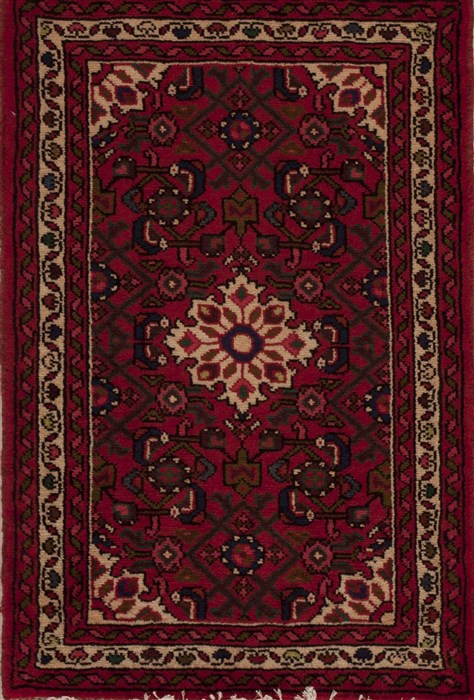 Hamedan Red Hand Knotted 22 X 31  Area Rug 251-13459 Image 0