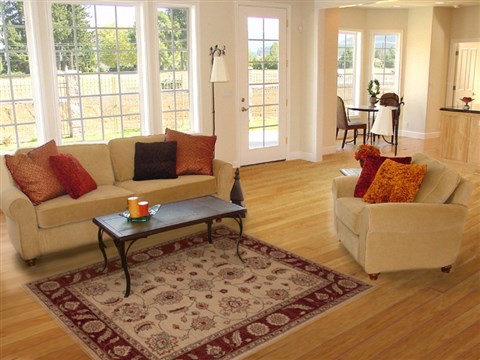 Pishavar Beige Hand Knotted 50 X 70 Area Rug 251-13666 Image 5