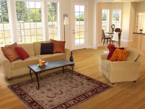 Pishavar Grey Hand Knotted 55 X 83 Area Rug 251-13687 Image 4