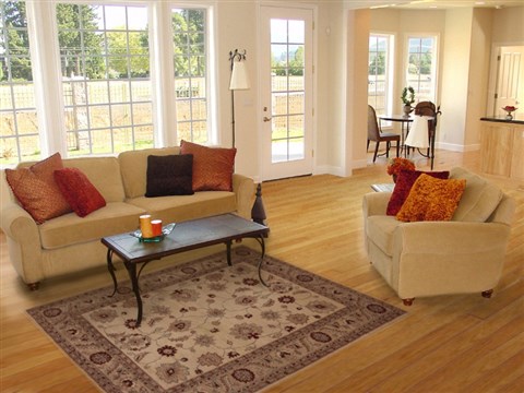Pishavar Beige Hand Knotted 55 X 79 Area Rug 251-13689 Image 4