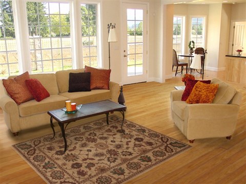 Pishavar Beige Hand Knotted 55 X 80 Area Rug 251-13694 Image 4