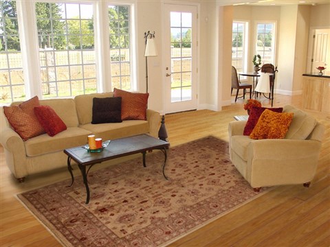 Pishavar Beige Hand Knotted 69 X 100 Area Rug 251-13703 Image 4