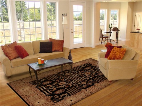 Pishavar Black Hand Knotted 80 X 102 Area Rug 251-13736 Image 4