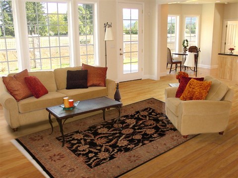 Pishavar Black Hand Knotted 80 X 99 Area Rug 251-13757 Image 4