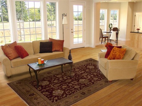 Pishavar Red Hand Knotted 67 X 98 Area Rug 251-13804 Image 4