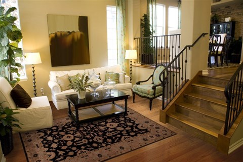 Pishavar Black Hand Knotted 73 X 99 Area Rug 251-13811 Image 3