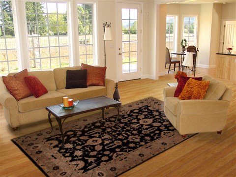 Pishavar Black Hand Knotted 73 X 99 Area Rug 251-13811 Image 4