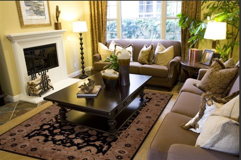 Pishavar Black Hand Knotted 73 X 99 Area Rug 251-13811 Image 2