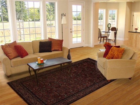 Bidjar Red Hand Knotted 69 X 910 Area Rug 251-13846 Image 4