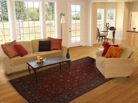 Sarouk Red Hand Knotted 68 X 102 Area Rug 251-13851 Image 4
