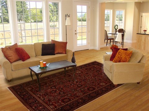 Hamedan Red Hand Knotted 73 X 103 Area Rug 251-13858 Image 4