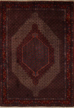 Persian Sanandaj Multicolor Rectangle 7x10 ft Wool Carpet 13859