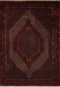 Sanandaj Multicolor Hand Knotted 6'9" X 9'6"  Area Rug 251-13859