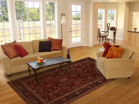 Hamedan Red Hand Knotted 70 X 101 Area Rug 251-13863 Image 4