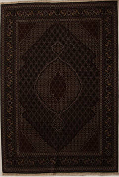 Persian Tabriz Multicolor Rectangle 7x10 ft Wool Carpet 13870