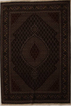 Persian Tabriz Multicolor Rectangle 7x10 ft Wool Carpet 13870