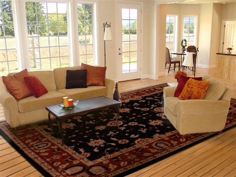 Pishavar Black Hand Knotted 90 X 120 Area Rug 251-13880 Image 6
