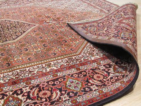 Bidjar Red Hand Knotted 66 X 99 Area Rug 834-132485 Image 2