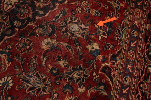 Shiraz Red Hand Knotted 66 X 87 Area Rug 301-135836 Image 8