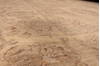 Pishavar Beige Hand Knotted 810 X 119 Area Rug 301-135872 Thumb 4