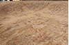 Pishavar Beige Hand Knotted 810 X 119 Area Rug 301-135872 Thumb 6