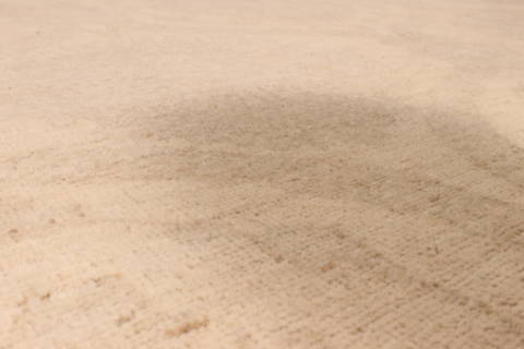 Pishavar Beige Hand Knotted 84 X 114 Area Rug 301-135874 Image 5
