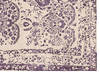 Modern Purple Hand Made 66 X 99 Area Rug 902-136028 Thumb 1