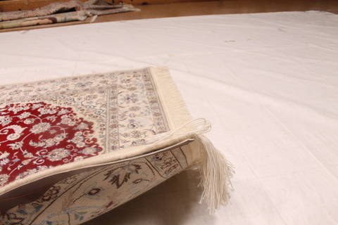 Nain White Hand Knotted 43 X 64 Area Rug 254-136204 Image 7