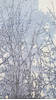 Modern Grey Hand Knotted 100 X 140 Area Rug 700-136227 Thumb 0