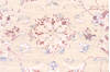 Agra Grey Hand Knotted 83 X 101 Area Rug 904-136272 Thumb 4