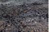 Modern Black Hand Knotted 62 X 89 Area Rug 700-136433 Thumb 5