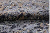Modern Black Hand Knotted 62 X 89 Area Rug 700-136433 Thumb 8