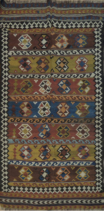 Kilim Multicolor Hand Knotted 44 X 83 Area Rug 100-137254 Image 0