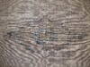 Overdyed Grey Hand Knotted 48 X 76 Area Rug 100-137396 Thumb 5