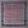 Kashan Purple Square Hand Knotted 60 X 60 Area Rug 902-137514 Thumb 0