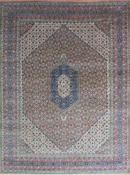 Bidjar Beige Hand Knotted 9'0" X 12'0"  Area Rug 902-137518