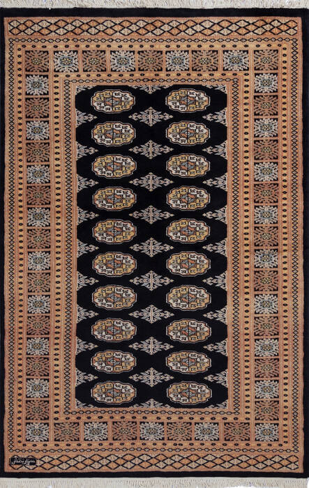 Bokhara Black Hand Knotted 40 X 61 Area Rug 700-137595 Image 0