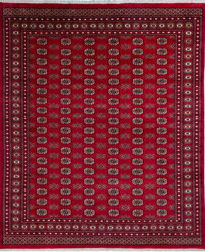 Bokhara Red Hand Knotted 8'2" X 9'9"  Area Rug 700-137603