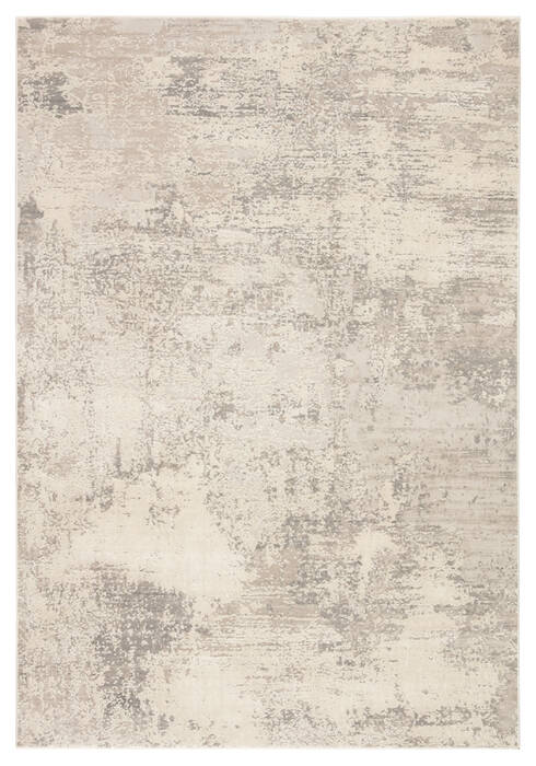 Jaipur Living Cirque Grey 50 X 76 Area Rug RUG143750 803-138463 Image 0