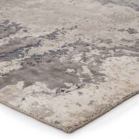 Jaipur Living Delmara Grey 53 X 76 Area Rug RUG146619 803-138659 Image 1