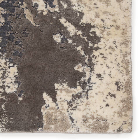 Jaipur Living Delmara Grey 53 X 76 Area Rug RUG146619 803-138659 Image 3