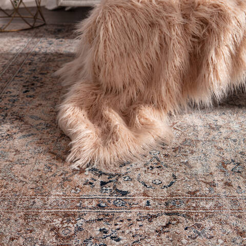Jaipur Living Dulce Red 710 X 1010 Area Rug RUG145680 803-138718 Image 9