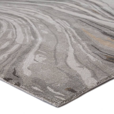 Jaipur Living Genesis Grey 60 X 90 Area Rug RUG140072 803-138843 Image 1