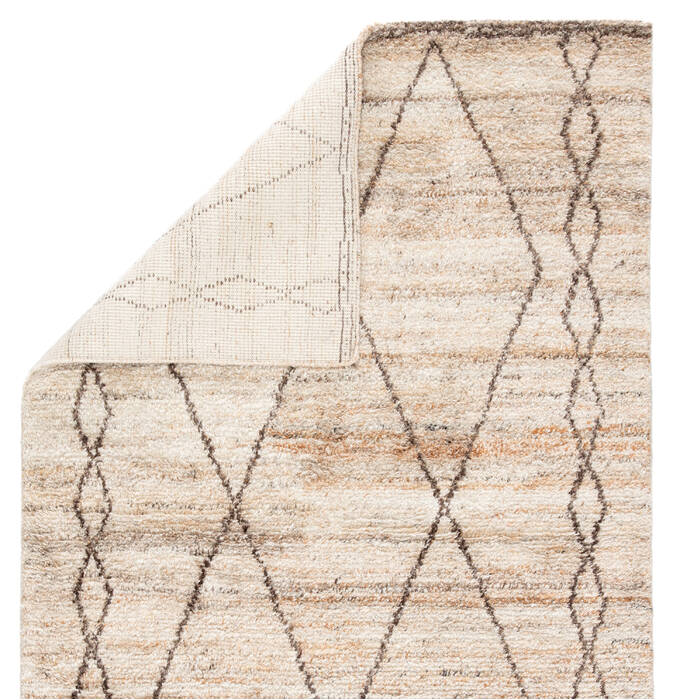 Jaipur Living Kasbah Beige 80 X 100 Area Rug RUG143960 803-138995 Image 2